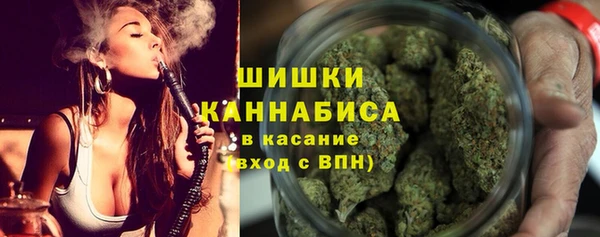 ГАЛЛЮЦИНОГЕННЫЕ ГРИБЫ Балахна