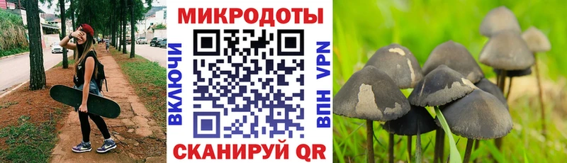 дарнет шоп  Бор  маркетплейс какой сайт  Псилоцибиновые грибы мухоморы  ОМГ ОМГ зеркало 